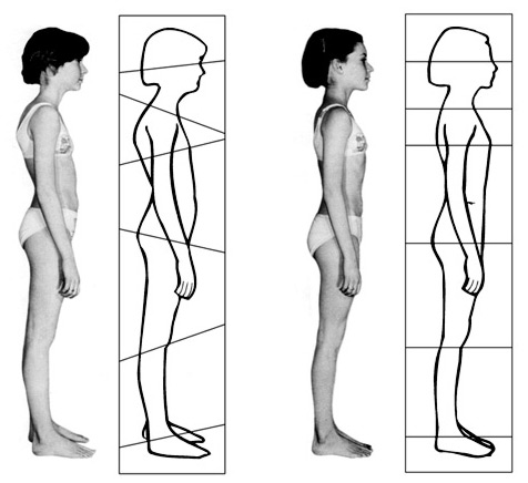 Postural Integration